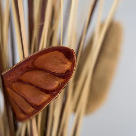 Apartmán Moderno Apto. Cerca De La Playa De