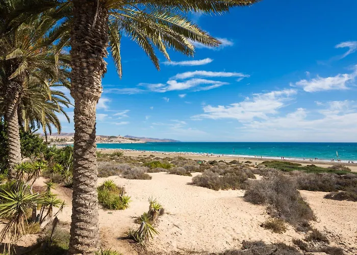 דירה Moderno Apto. Cerca De La Playa De