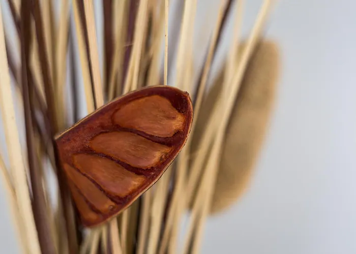 Daire Moderno Apto. Cerca De La Playa De